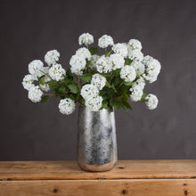 Load image into Gallery viewer, Small Viburnum
