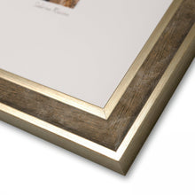 Load image into Gallery viewer, Splendour
