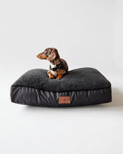 Load image into Gallery viewer, Nugget Medium Dog Bed - Black - 50% OFF
