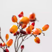 Load image into Gallery viewer, Barberry
