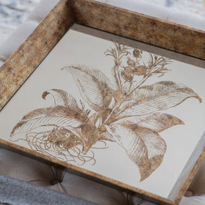 Square Floral Tray