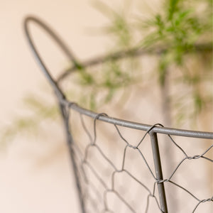 Wire Mesh Oval Basket