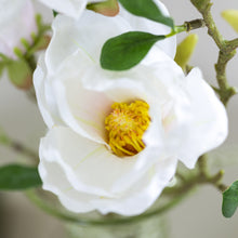 Load image into Gallery viewer, White Magnolia
