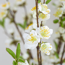 Load image into Gallery viewer, White Cherry Blossom
