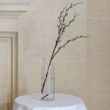 Load image into Gallery viewer, Pussy Willow
