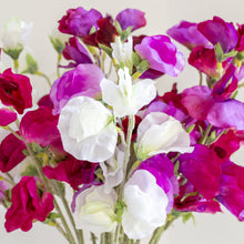 Load image into Gallery viewer, Sweet Pea - various colours
