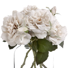 Load image into Gallery viewer, Off White Rose Stem - Short
