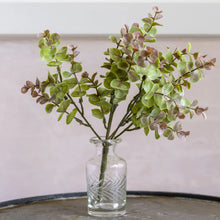 Load image into Gallery viewer, Rose Eucalyptus Stem - Short
