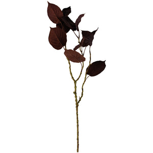 Purple Leaf Prunus Stem