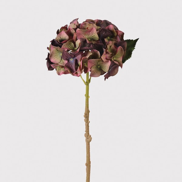 Fig and Olive Hydrangea Stem