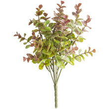 Load image into Gallery viewer, Rose Eucalyptus Stem - Short
