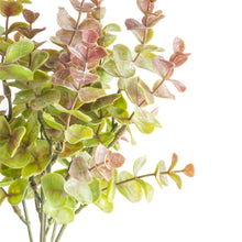 Load image into Gallery viewer, Rose Eucalyptus Stem - Short
